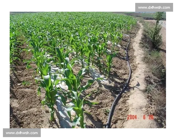 积分排名解析与策略优化全方位指南 积分排名解析与策略优化全方位指南